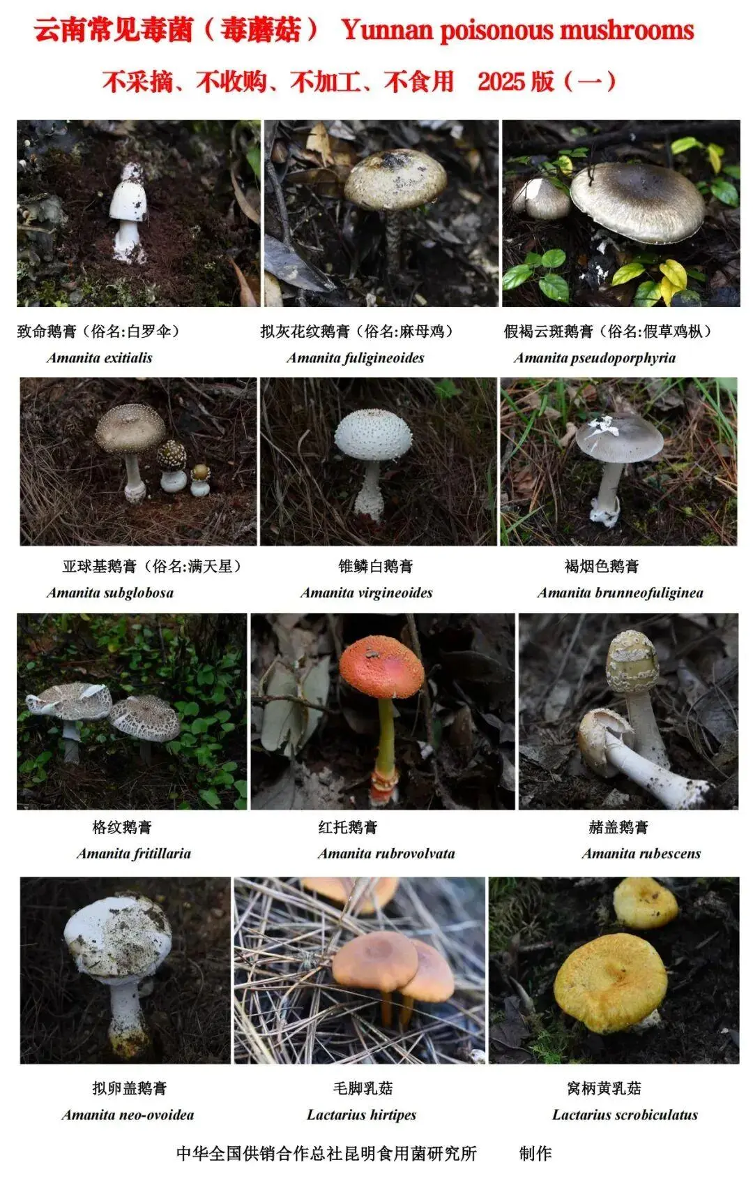 WPS图片.jpeg